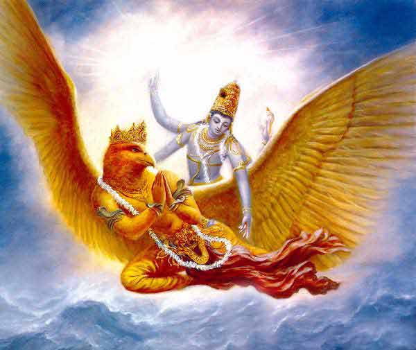 GARUDA NAPJA